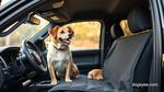 Best Dog Seat Covers for Trucks Protect Your Ride