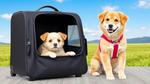 Best Travel Suitcase for Dogs 2025 Top Picks Guide