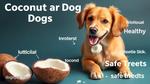 Can Dogs Eat Coconut Health Benefits Risks