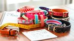 Discover Top Cool Dog Collars for 2025