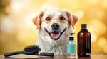 Dog Facial Care Guide Grooming Cleaning Health Tips 2025