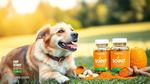 Hip and Joint Supplements for Older Dogs