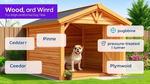 The Ultimate Guide to Choosing Wood for Dog Kennels