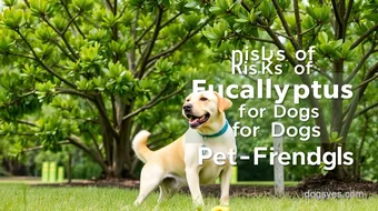 Eucalyptus Safety for Dogs Explained